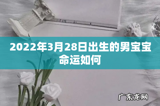 2022年3月28日出生的男宝宝命运如何