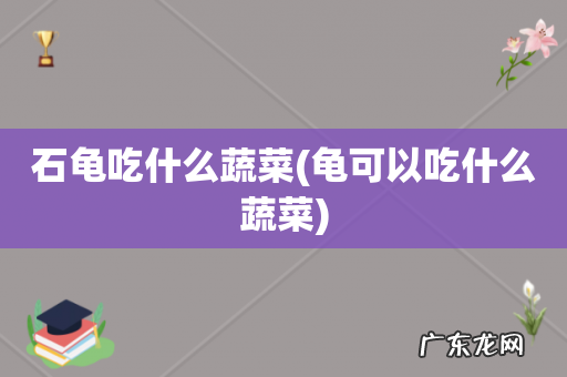 龟可以吃什么蔬菜 石龟吃什么蔬菜