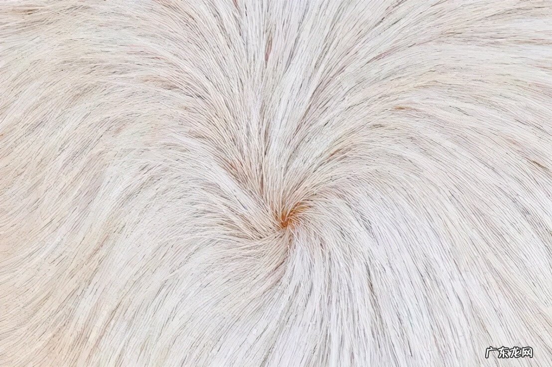 肛门旁长毛是为什么 肛门长毛代表什么