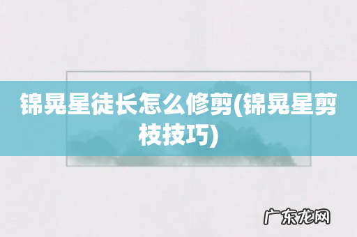 锦晃星剪枝技巧 锦晃星徒长怎么修剪