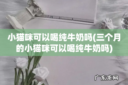 三个月的小猫咪可以喝纯牛奶吗 小猫咪可以喝纯牛奶吗