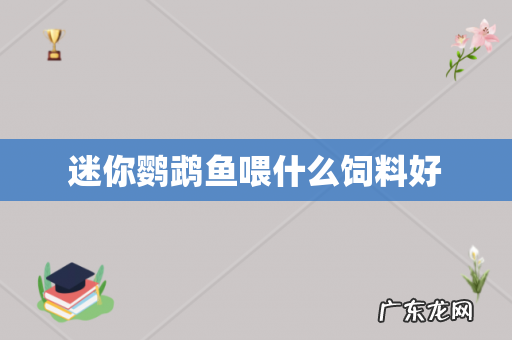迷你鹦鹉鱼喂什么饲料好