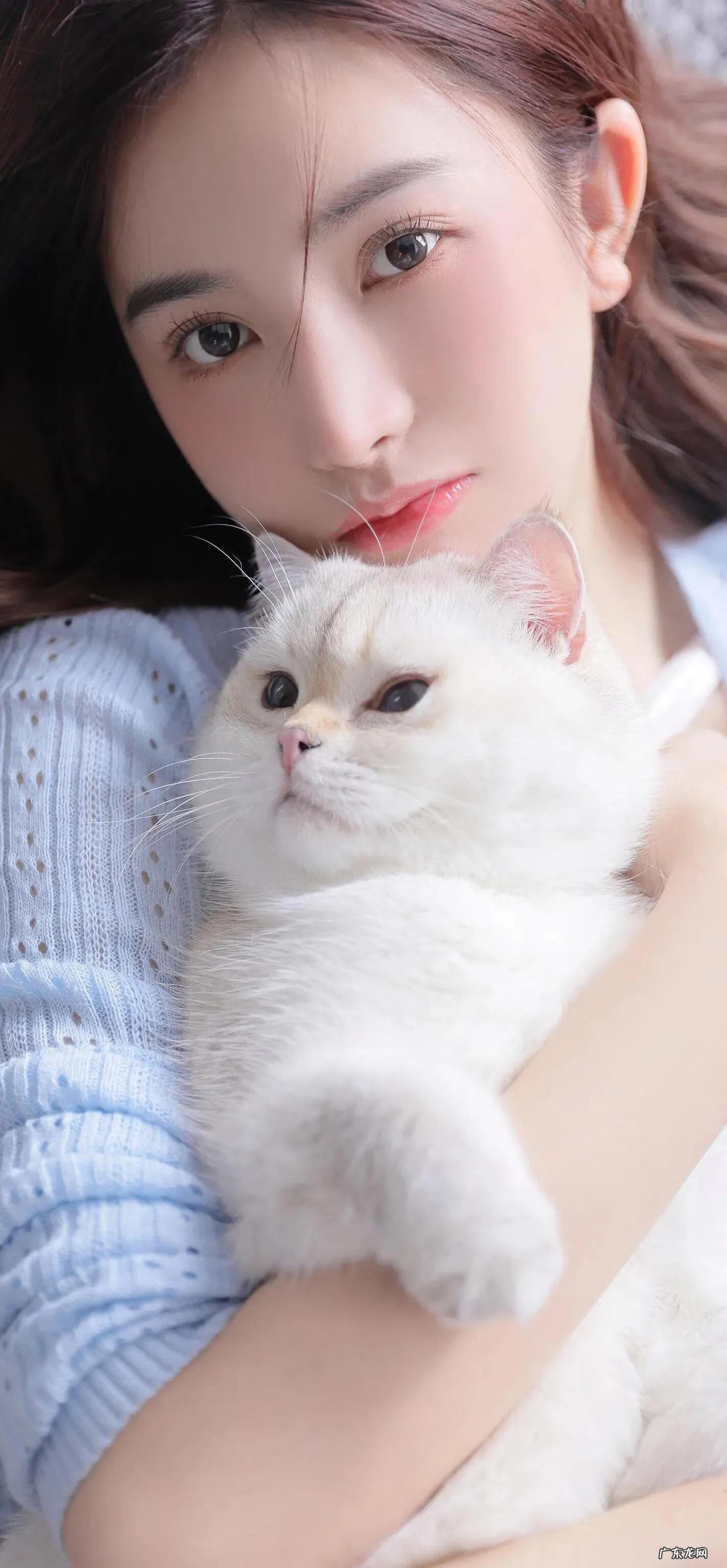 美女如云电影 美女如云