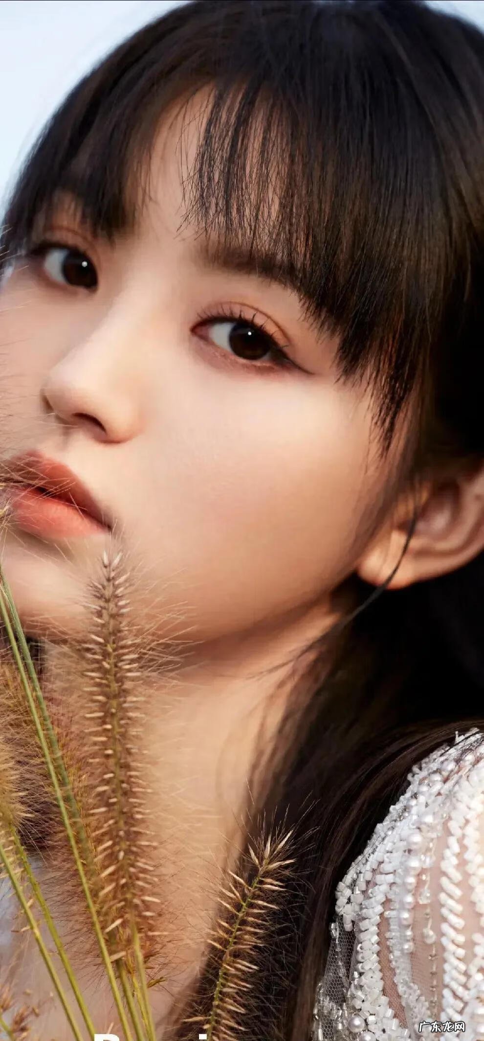 美女如云电影 美女如云