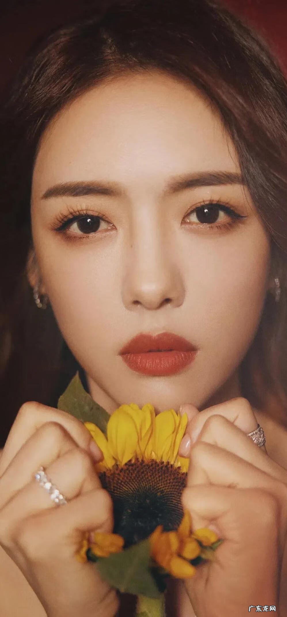 美女如云电影 美女如云