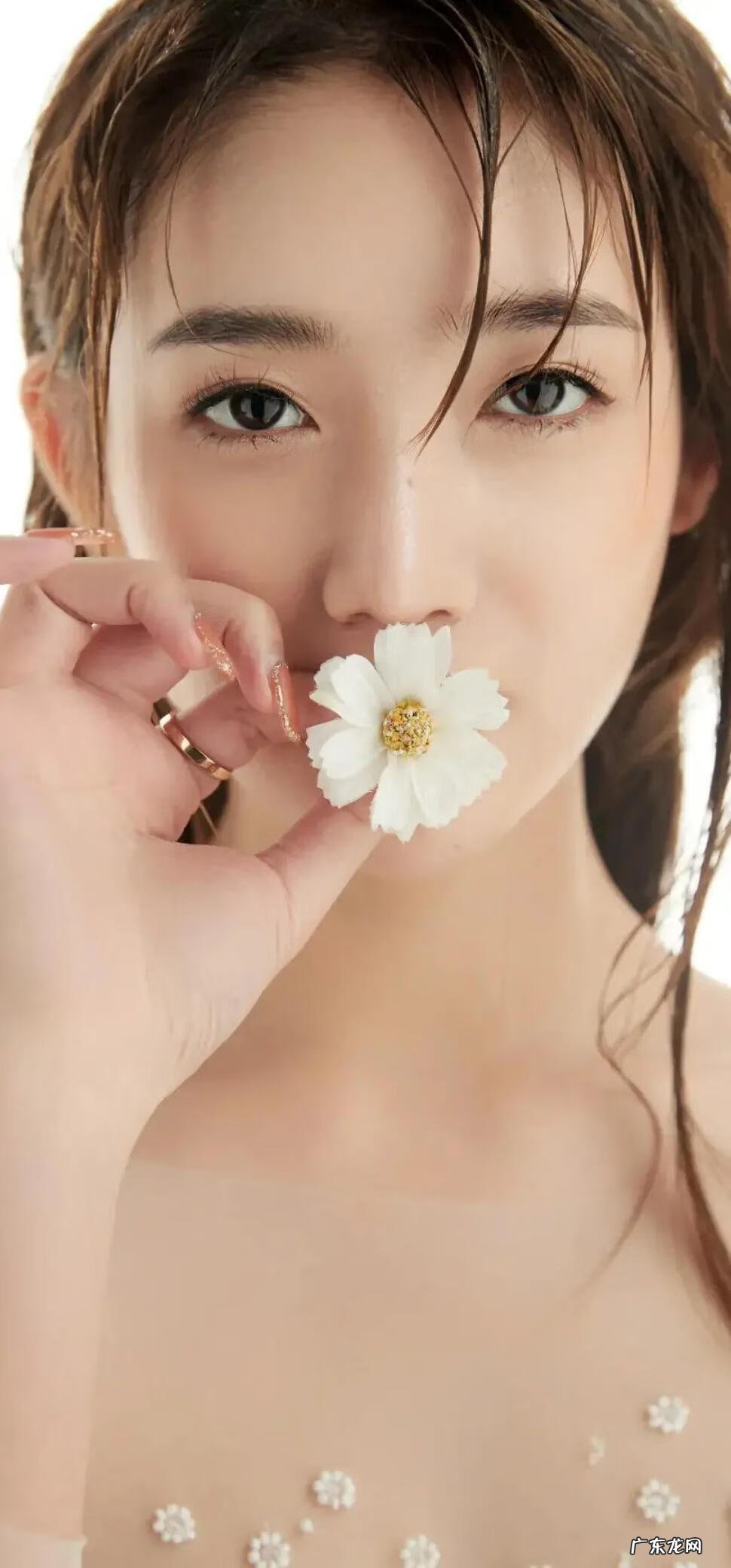 美女如云电影 美女如云