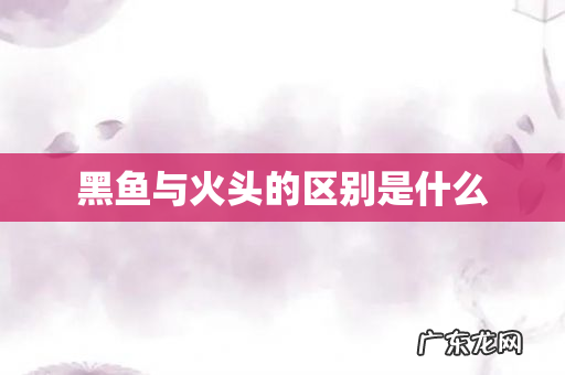 黑鱼与火头的区别是什么