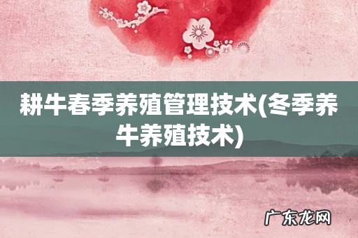 冬季养牛养殖技术 耕牛春季养殖管理技术