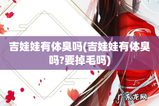 吉娃娃有体臭吗?要掉毛吗 吉娃娃有体臭吗