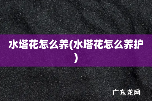 水塔花怎么养护 水塔花怎么养