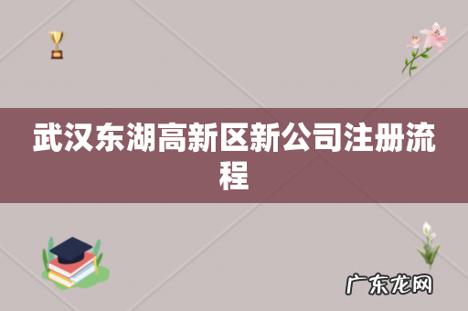 武汉东湖高新区新公司注册流程