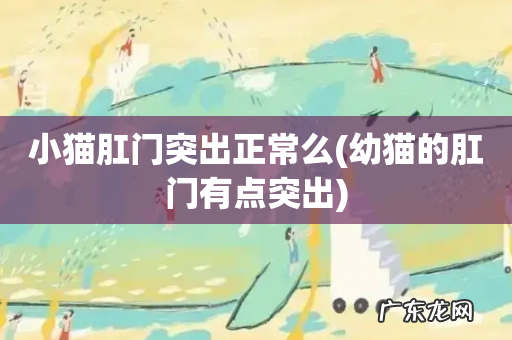 幼猫的肛门有点突出 小猫肛门突出正常么