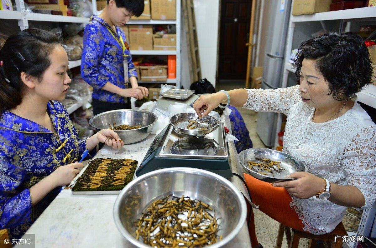 冬虫夏草酒 冬虫夏草酒功效配方