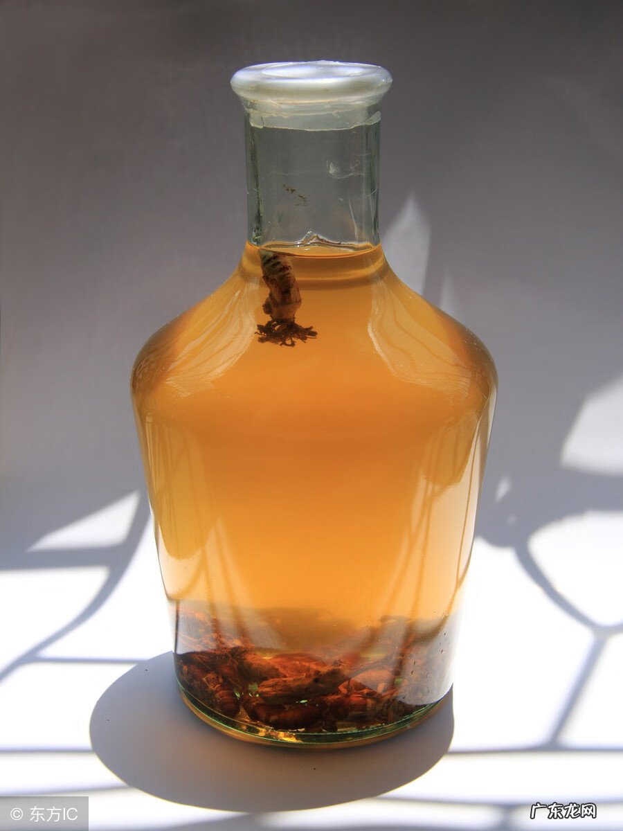 冬虫夏草酒 冬虫夏草酒功效配方