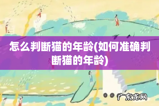 如何准确判断猫的年龄 怎么判断猫的年龄