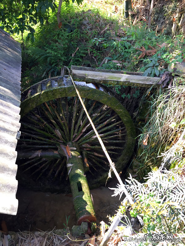 江西风水宝地 饶平四大风水宝地