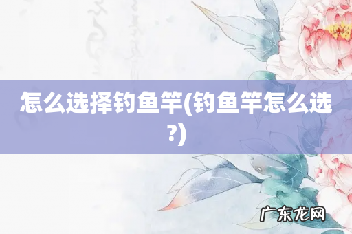 钓鱼竿怎么选? 怎么选择钓鱼竿