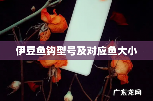 伊豆鱼钩型号及对应鱼大小