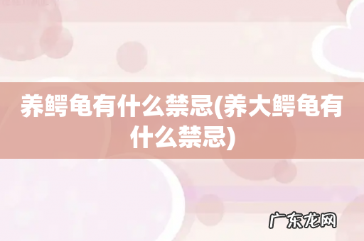 养大鳄龟有什么禁忌 养鳄龟有什么禁忌