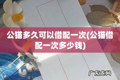 公猫借配一次多少钱 公猫多久可以借配一次