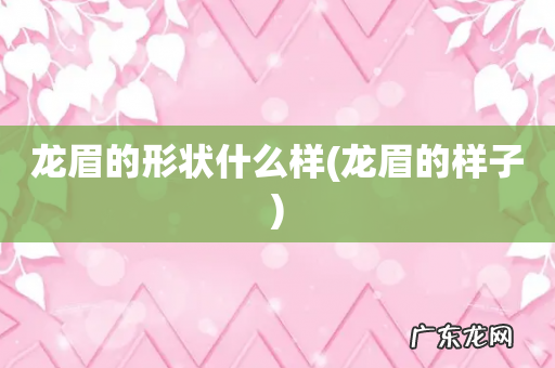 龙眉的样子 龙眉的形状什么样