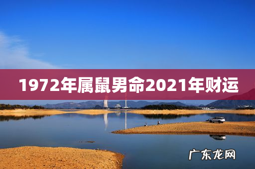 1972年属鼠男命2021年财运