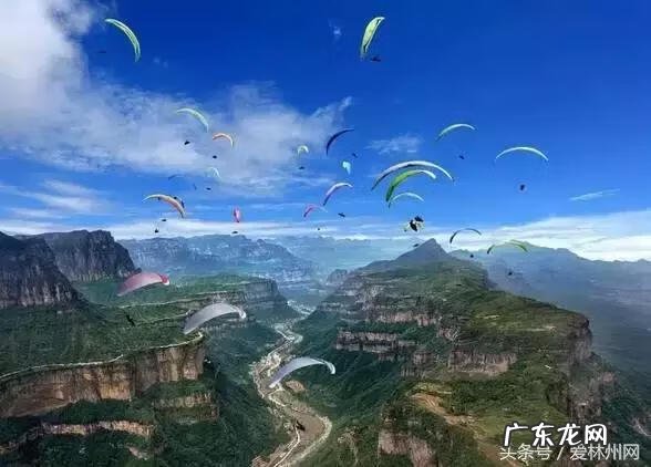 洛克王国云隐鹤山宠物 洛克王国云隐鹤山编号