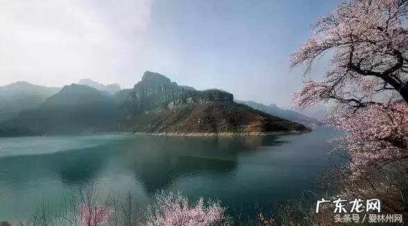 洛克王国云隐鹤山宠物 洛克王国云隐鹤山编号