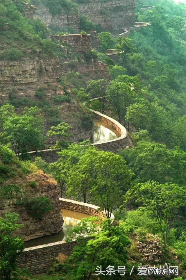 洛克王国云隐鹤山宠物 洛克王国云隐鹤山编号