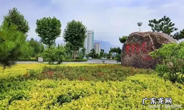 洛克王国云隐鹤山宠物 洛克王国云隐鹤山编号