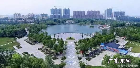 洛克王国云隐鹤山宠物 洛克王国云隐鹤山编号