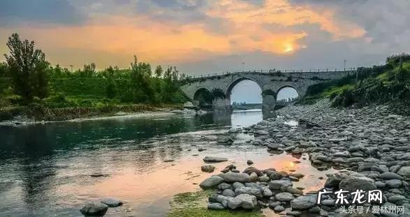 洛克王国云隐鹤山宠物 洛克王国云隐鹤山编号