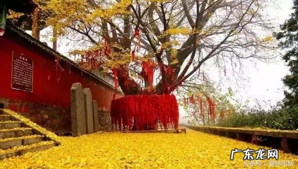 洛克王国云隐鹤山宠物 洛克王国云隐鹤山编号