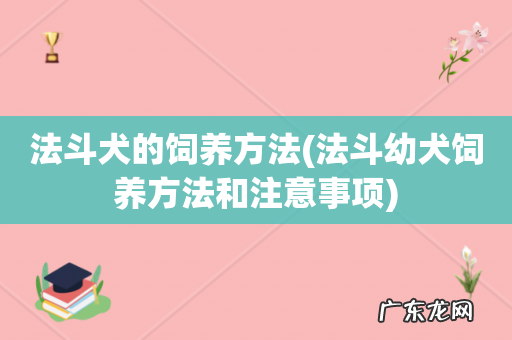 法斗幼犬饲养方法和注意事项 法斗犬的饲养方法