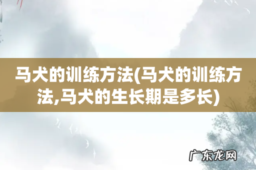 马犬的训练方法,马犬的生长期是多长 马犬的训练方法