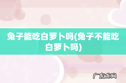 兔子不能吃白萝卜吗 兔子能吃白萝卜吗