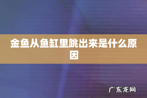 金鱼从鱼缸里跳出来是什么原因