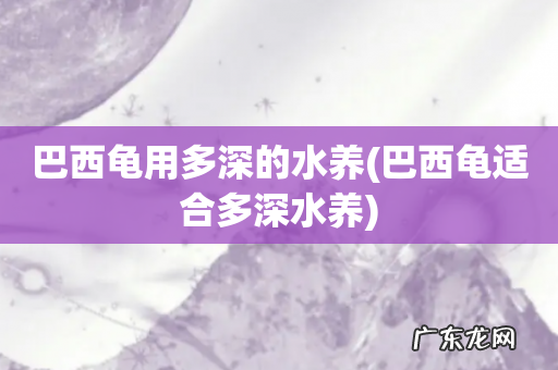 巴西龟适合多深水养 巴西龟用多深的水养