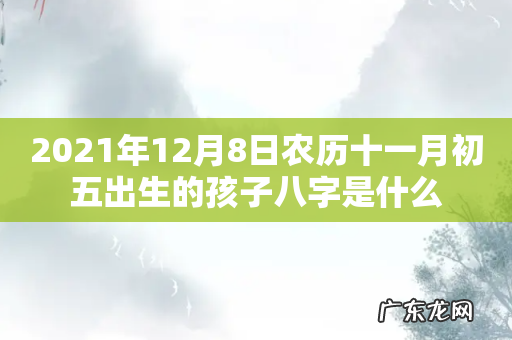 2021年12月8日农历十一月初五出生的孩子八字是什么