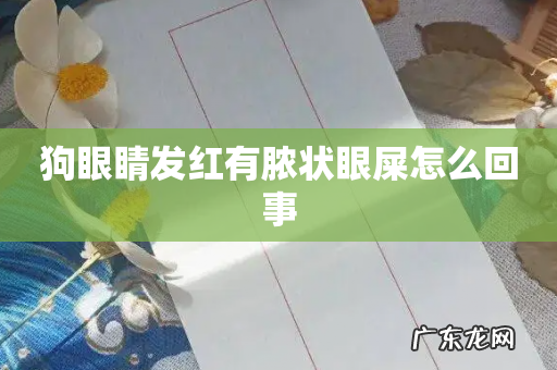 狗眼睛发红有脓状眼屎怎么回事