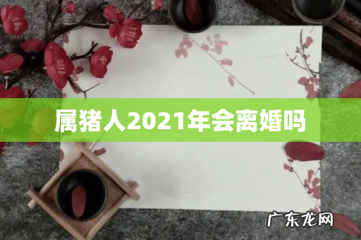 属猪人2021年会离婚吗