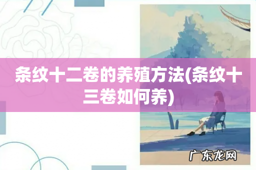 条纹十三卷如何养 条纹十二卷的养殖方法