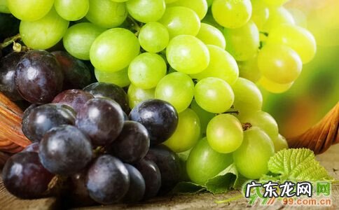 每天晚上睡觉前吃葡萄的好处 吃葡萄有什么功效和作用吃