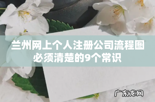 兰州网上个人注册公司流程图必须清楚的9个常识
