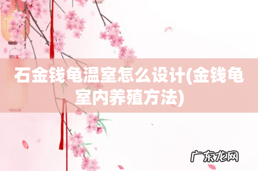 金钱龟室内养殖方法 石金钱龟温室怎么设计