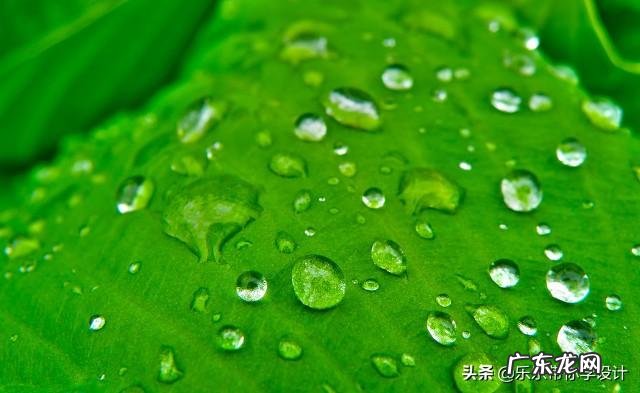 平面设计颜色搭配禁忌 平面设计颜色搭配技巧