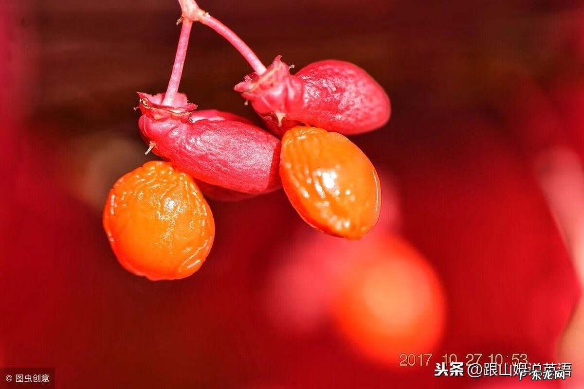 英语情景对话 英语对话句子