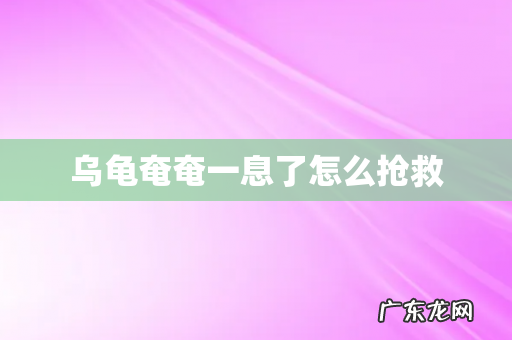 乌龟奄奄一息了怎么抢救