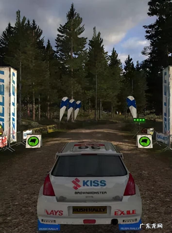 三维汽车拉力赛 3D拉力赛车