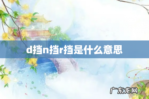 d挡n挡r挡是什么意思